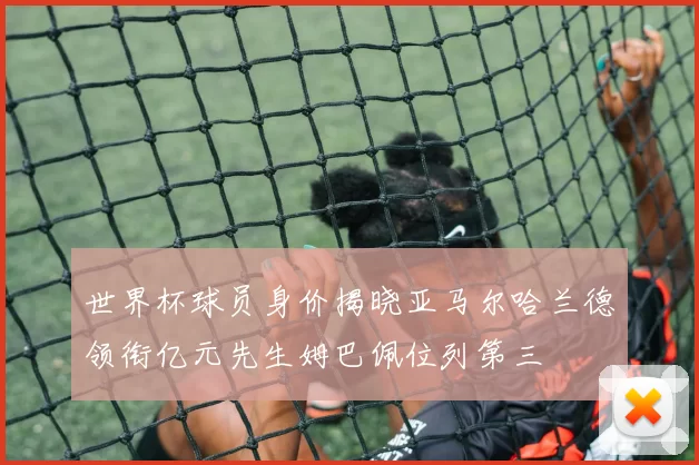世界杯球员身价揭晓亚马尔哈兰德领衔亿元先生姆巴佩位列第三